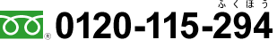 0120115294