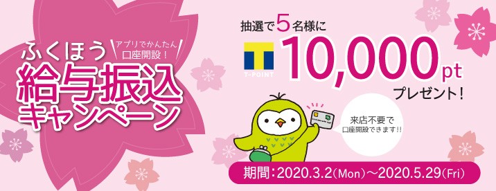 ��Ϳ���������ڡ���