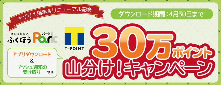 T�ݥ����30���ݥ���Ȼ�ʬ�������ڡ���